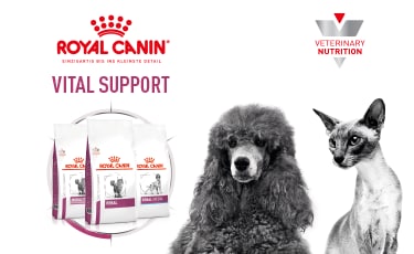 Royal Canin Vital Support