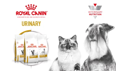 Erste Hilfe Set von Royal Canin - Hund Katze Heimtier Kleintier Haustier