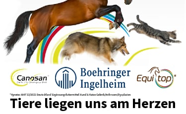 Boehringer Ingelheim