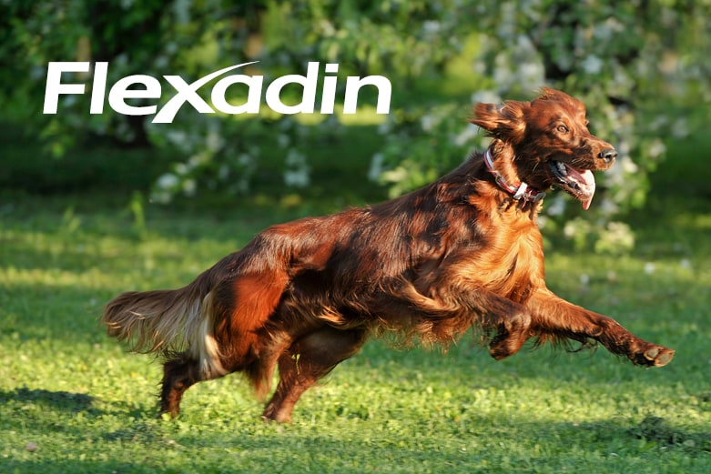 Flexadin