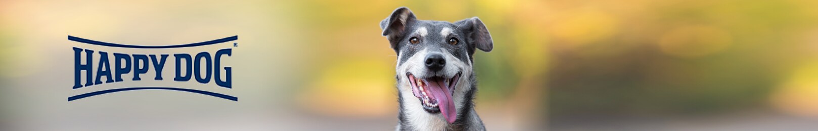 Happy Dog